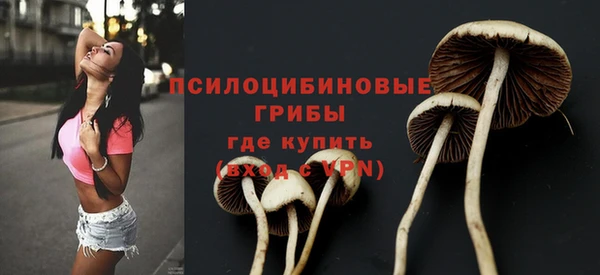 скорость Володарск