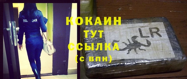 твердый Вяземский