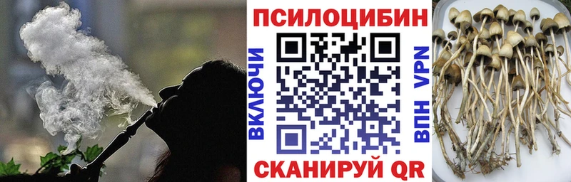 магазин продажи наркотиков  Майкоп  Псилоцибиновые грибы MAGIC MUSHROOMS 